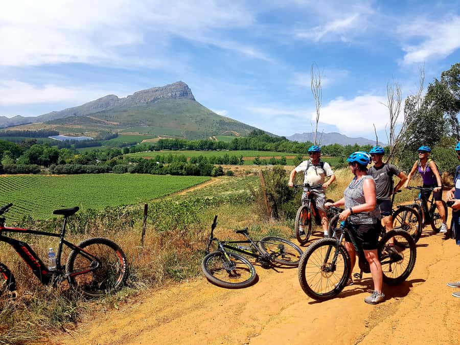 Franschhoek: E-bike Tour with Wine Tasting and Lunch - Key points to know before you book