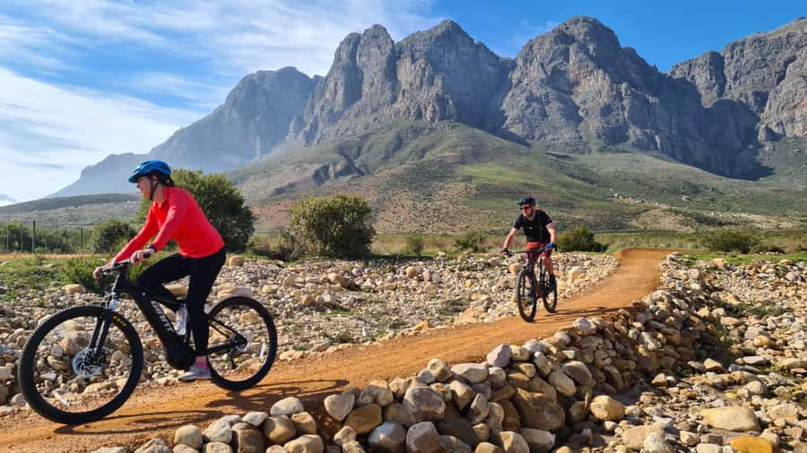Franschhoek: E-bike Tour with Wine Tasting and Lunch - Booking advice for weather, fitness, and flexibility
