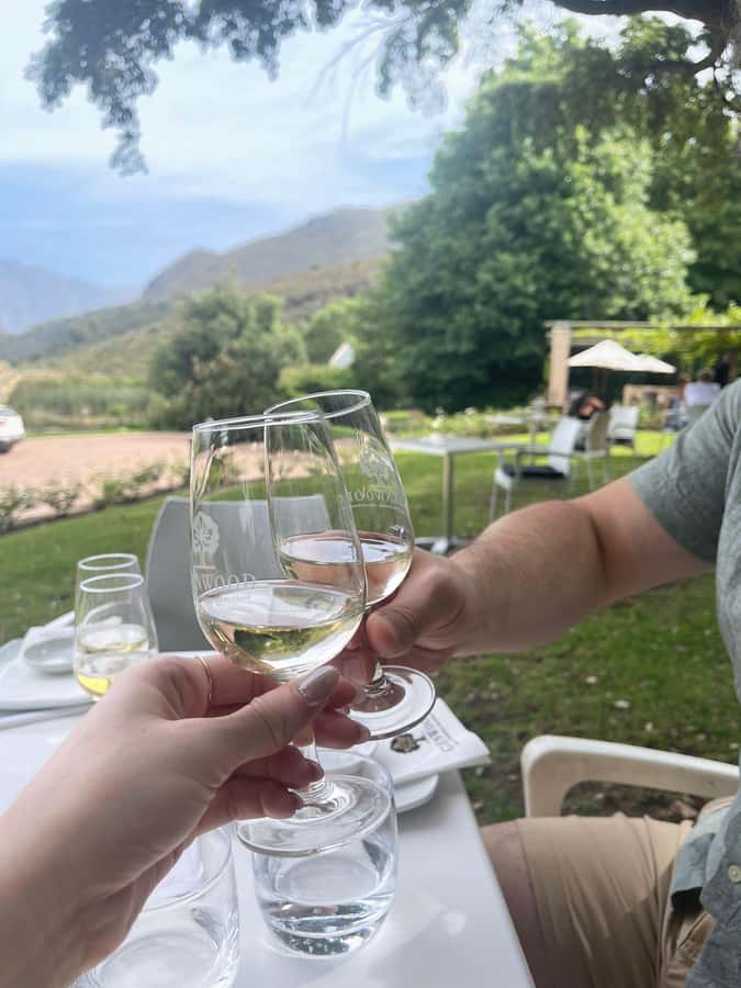 Franschhoek E-Bike & Wine Tour - Why an e-bike is a smart way to see Franschhoek