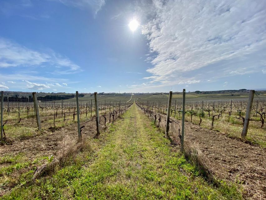 Frascati: Tour in E-Bike with Wine Tasting - Exploring the Tusculum archaeological park