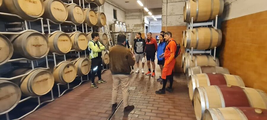 Frascati: Tour in E-Bike with Wine Tasting - Vineyards and the Frascati Superiore tasting