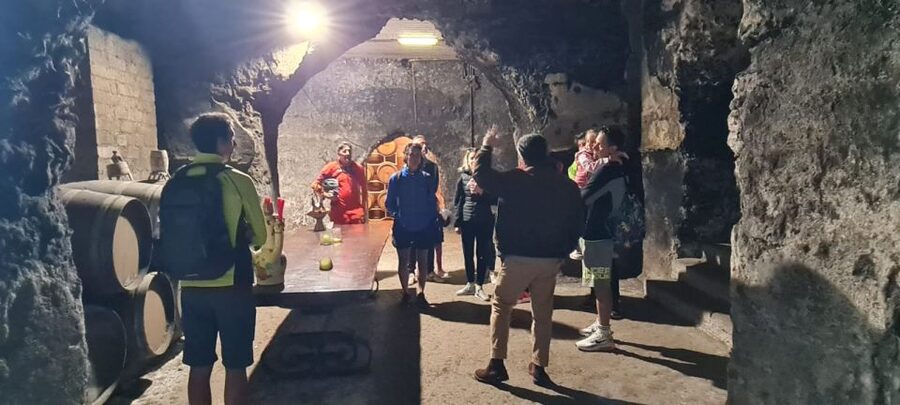 Frascati: Tour in E-Bike with Wine Tasting - Guide quality and group atmosphere