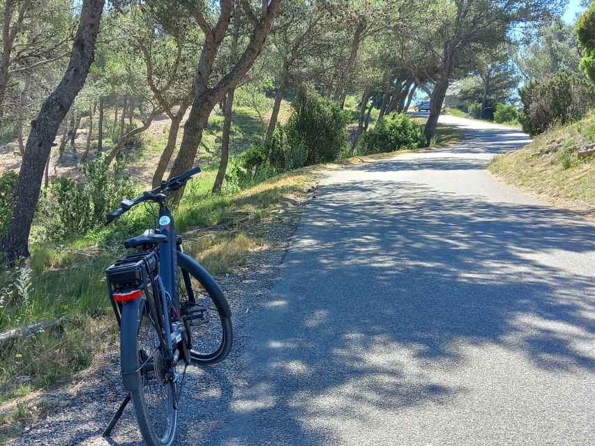 From Aix-en-Provence: Luberon Region E-Bike Full-Day tour - What the $187 price really includes