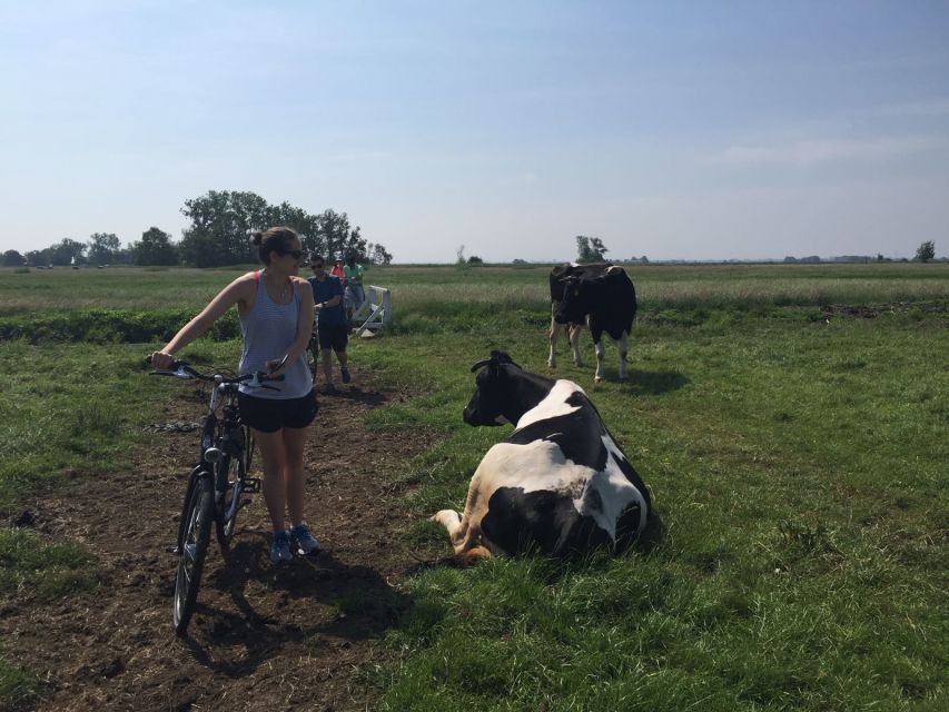 From Amsterdam: Countryside Bike Tour - Dikes, dams, and the Dutch answer to water
