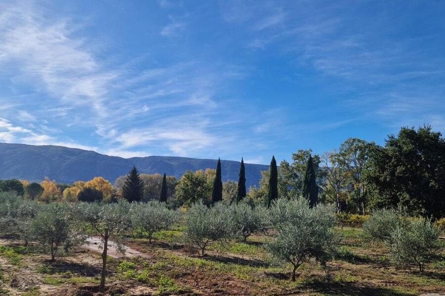 From Avignon: Full-Day E-Bike Tour in the Luberon Region - Bonnieux opens the day with wide valley views