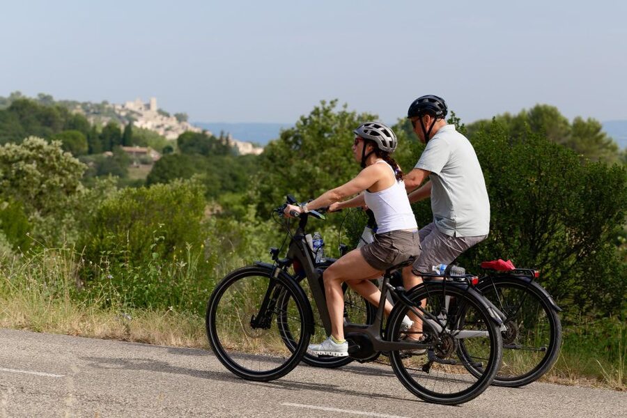 From Avignon: Full-Day E-Bike Tour in the Luberon Region - Ménerbes provides the day’s best pause