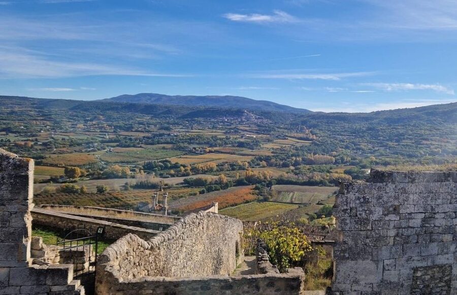 From Avignon: Full-Day E-Bike Tour in the Luberon Region - What the $187 price really covers