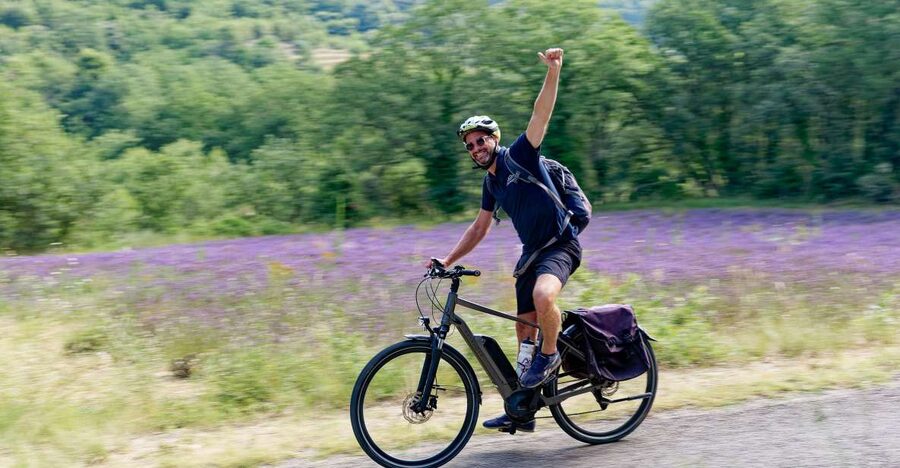 From Avignon: Full-Day E-Bike Tour in the Luberon Region - Who should book this tour?