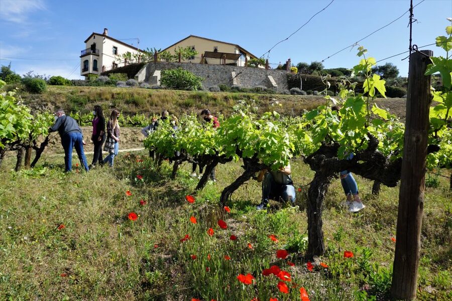 From Barcelona: E-Bike and Sailing Tour with Wine Tastings - Key points at a glance
