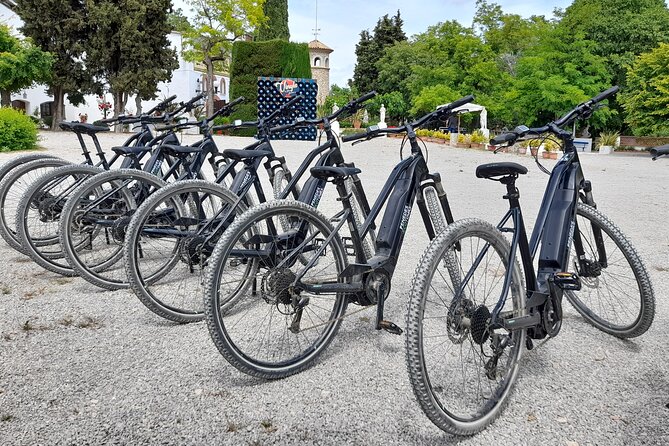 From Barcelona: E-Bike Tour in the vineyards with 2 Wineries - Suriol del Castell de Grabuac: three organic tastings