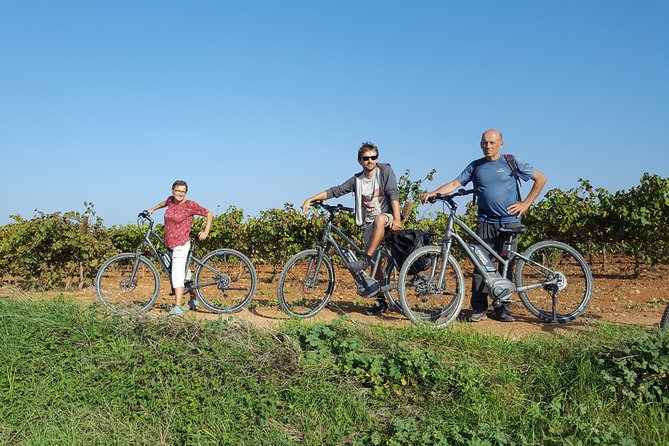 From Barcelona: E-Bike Tour in the vineyards with 2 Wineries - Why cava matters here
