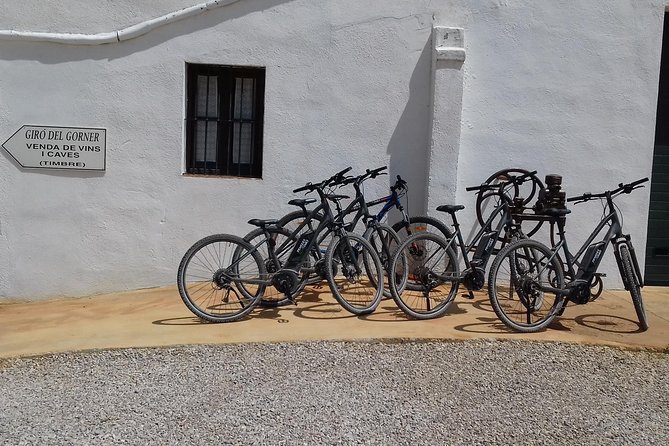 From Barcelona: E-Bike Tour in the vineyards with 2 Wineries - Tomas and the value of a personal guide