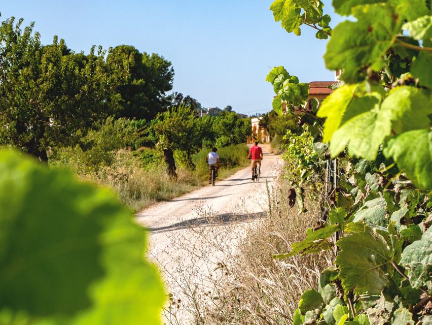 From Barcelona: Penedès E-Bike Tour with 2 Winery Visits - Leaving Barcelona for the Penedès vineyards