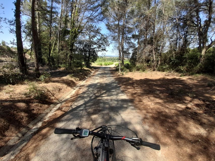 From Barcelona: Penedès E-Bike Tour with 2 Winery Visits - A guide-led day with room for questions