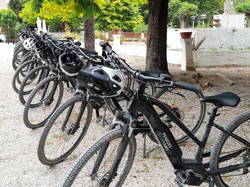 From Barcelona: Penedès E-Bike Tour with 2 Winery Visits - Who should book this Penedès day trip?