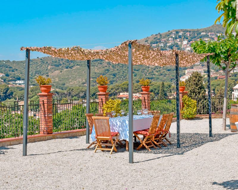 From Barcelona: Private Alella Wine Tour by Electric Bike - Key things to know before booking