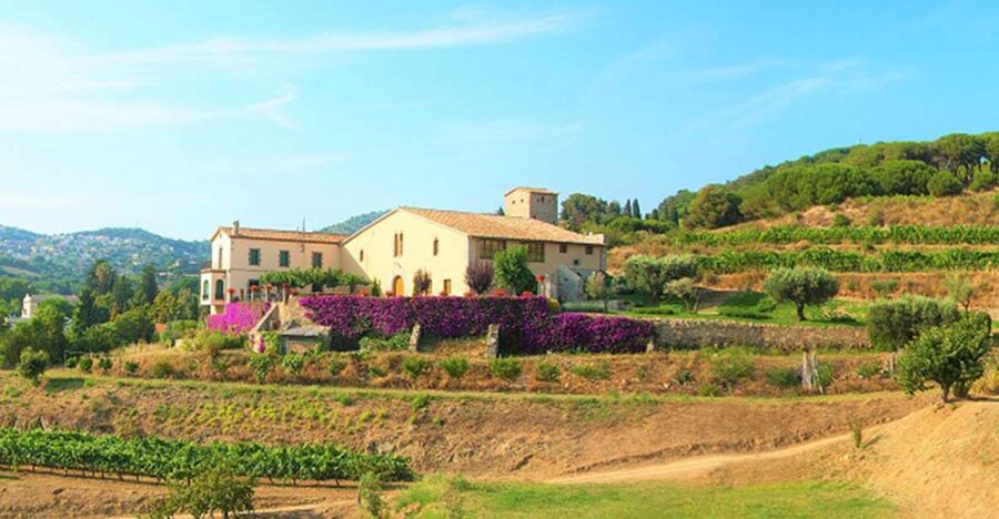 From Barcelona: Private Alella Wine Tour by Electric Bike - Why Alella makes a good escape from Barcelona