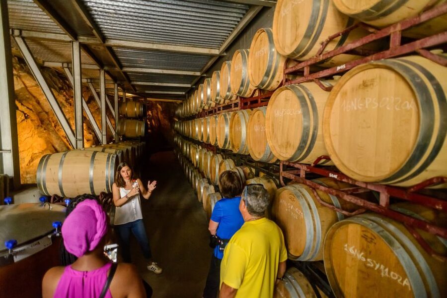 From Barcelona: Private Alella Wine Tour by Electric Bike - Reaching the family-run winery in Alella