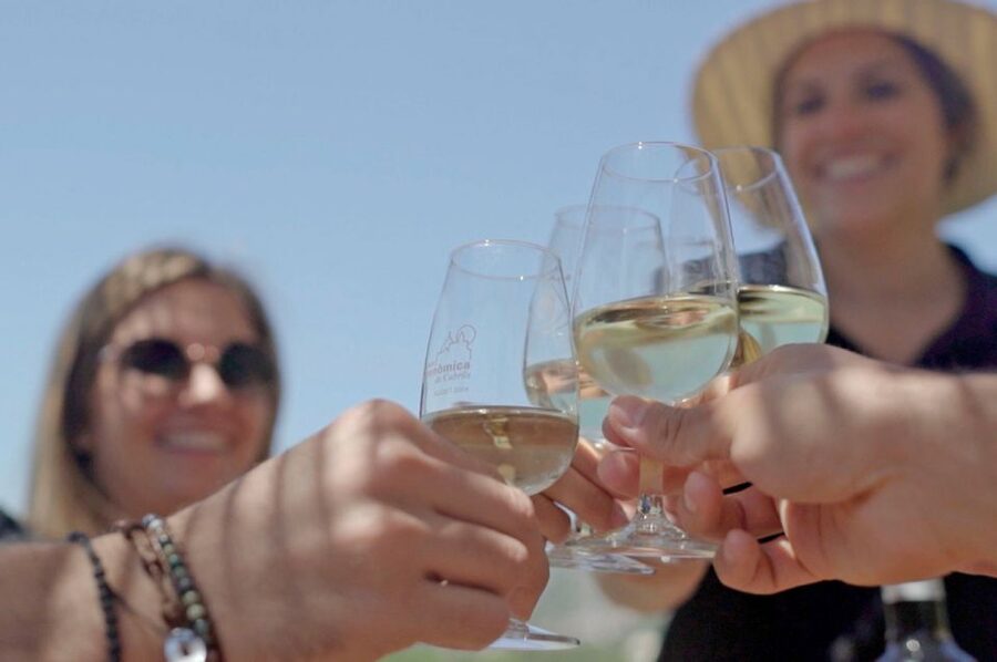 From Barcelona: Private Alella Wine Tour by Electric Bike - Four wines with a professional sommelier