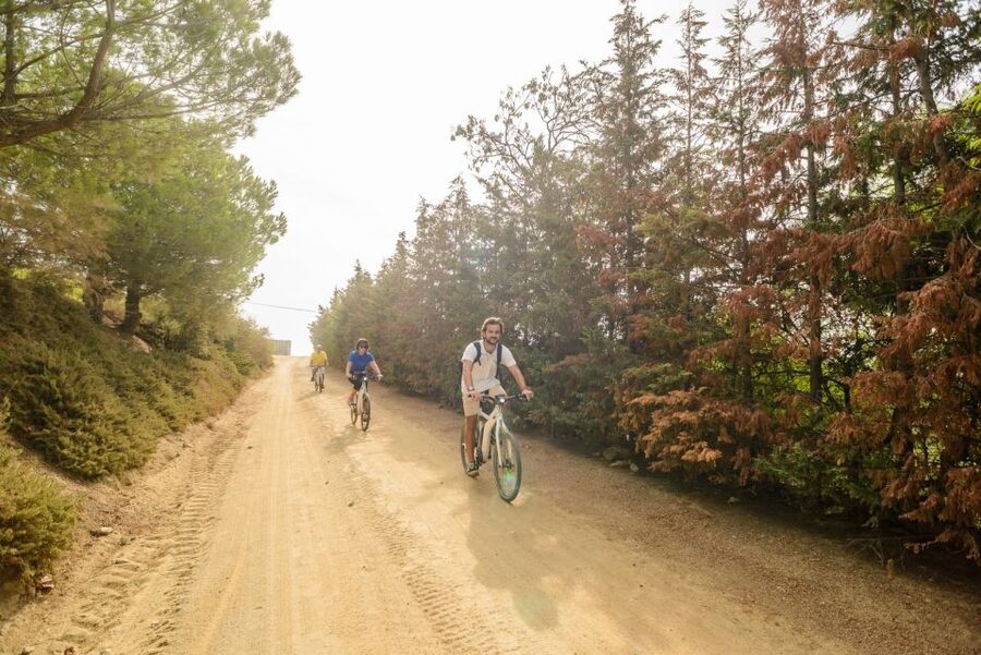 From Barcelona: Private Alella Wine Tour by Electric Bike - The return via El Masnou and train