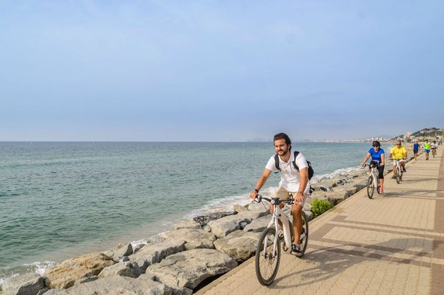 From Barcelona: Private Alella Wine Tour by Electric Bike - Who will enjoy this tour most