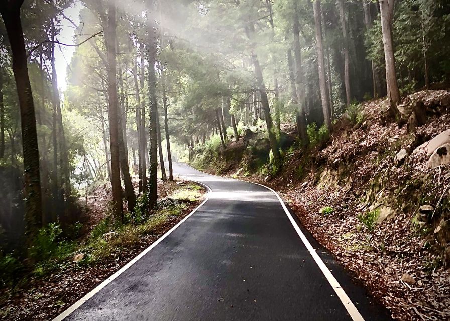 From Cascais: Sintra Guided E-Bike Tour & Guincho Beach - What the $100 price includes