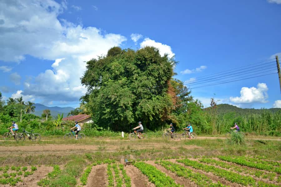 From Chiang Mai: Mae Taeng Valley Hike & Bike Day Trip - Should you book the Mae Taeng hike and bike trip?