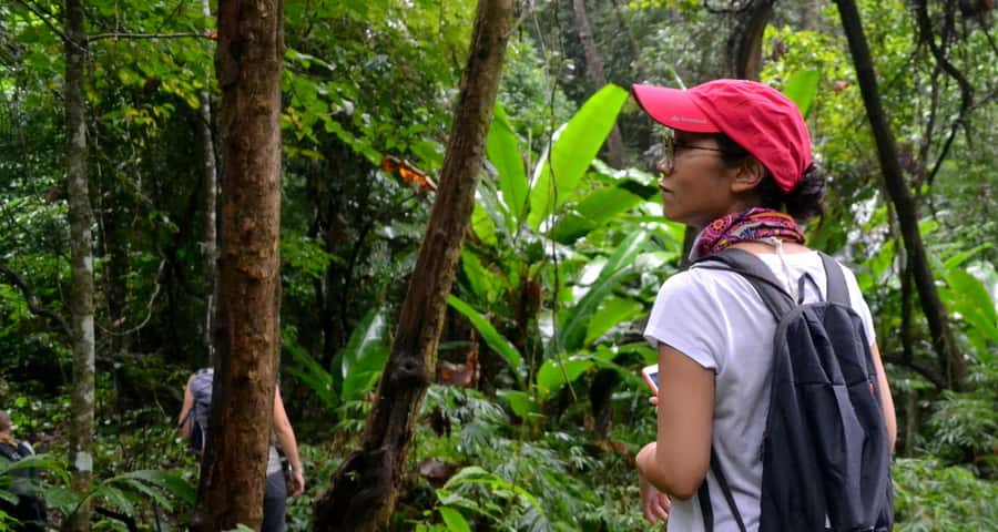 From Chiang Mai: Mae Taeng Valley Hike & Bike Day Trip - Why this Chiang Mai day trip works