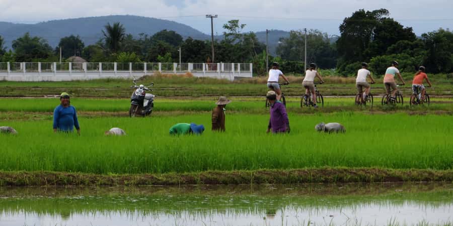 From Chiang Mai: Mae Taeng Valley Hike & Bike Day Trip - A three-hour walk through village country