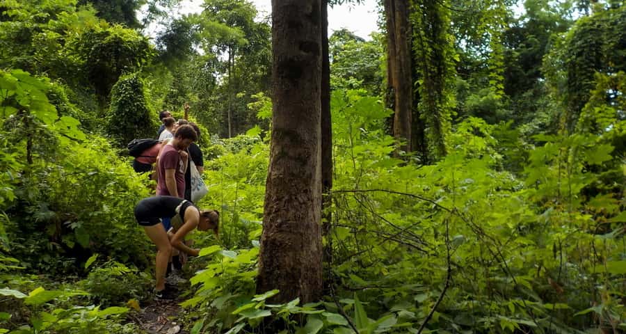 From Chiang Mai: Mae Taeng Valley Hike & Bike Day Trip - The Wat Ban Den stop and return to Chiang Mai