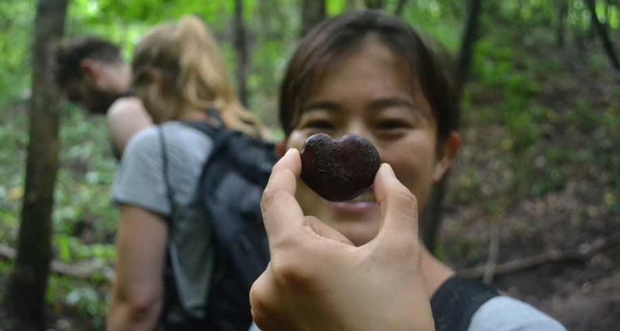 From Chiang Mai: Mae Taeng Valley Hike & Bike Day Trip - The 90-minute ride into Mae Taeng
