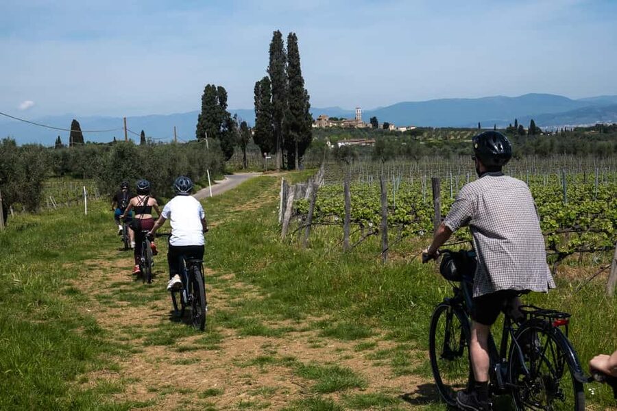 From Florence: Tuscan Hills Biking with Farm Tour and Lunch - What the small group changes