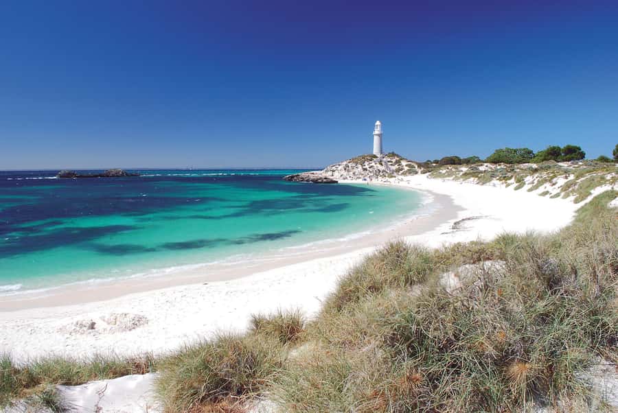 From Fremantle: Rottnest Island Ferry and Bike Day Tour - Is $87 good value?