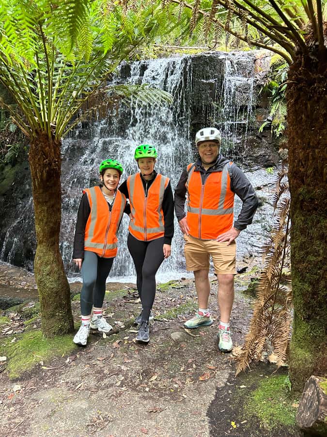 From Hobart: Mt Wellington Summit & Rainforest Bike Tour - Key points at a glance