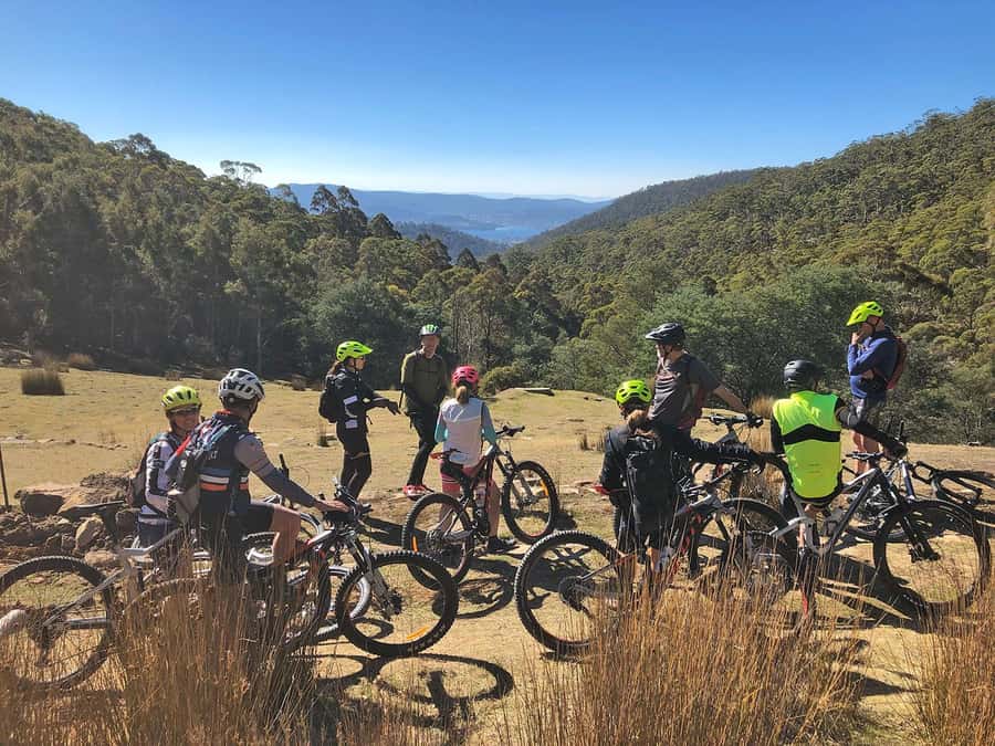From Hobart: Mt Wellington Summit & Rainforest Bike Tour - Why this is a smart way to see kunanyi / Mt Wellington