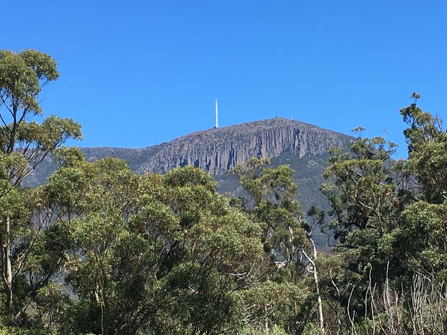 From Hobart: Mt Wellington Summit & Rainforest Bike Tour - The short stop for tea, coffee, and local snacks
