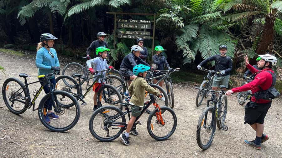 From Hobart: Mt Wellington Summit & Rainforest Bike Tour - The 11-kilometre rainforest ride