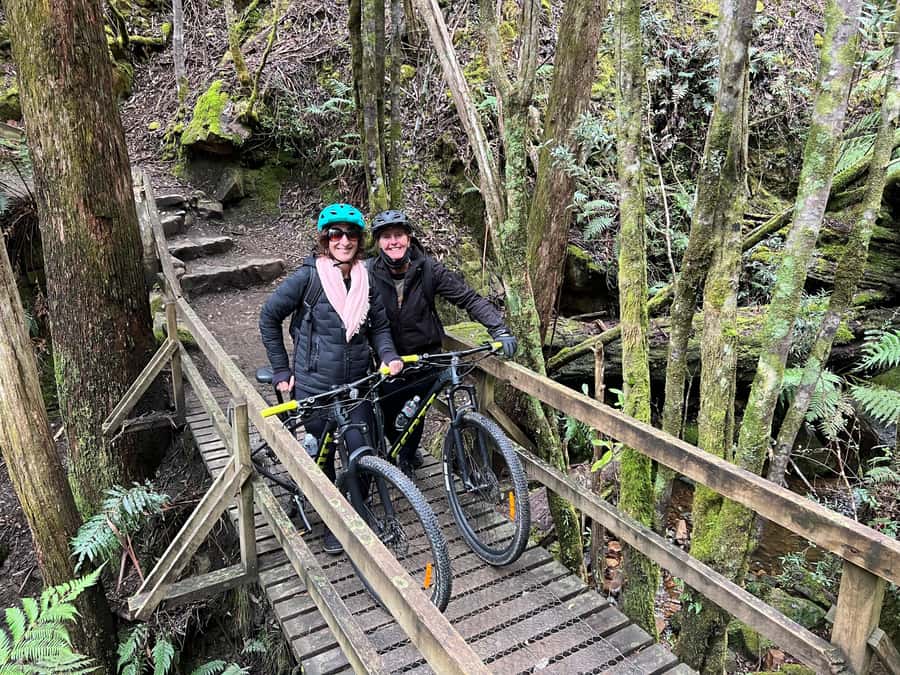 From Hobart: Mt Wellington Summit & Rainforest Bike Tour - Wildlife, stories, and the value of a local guide
