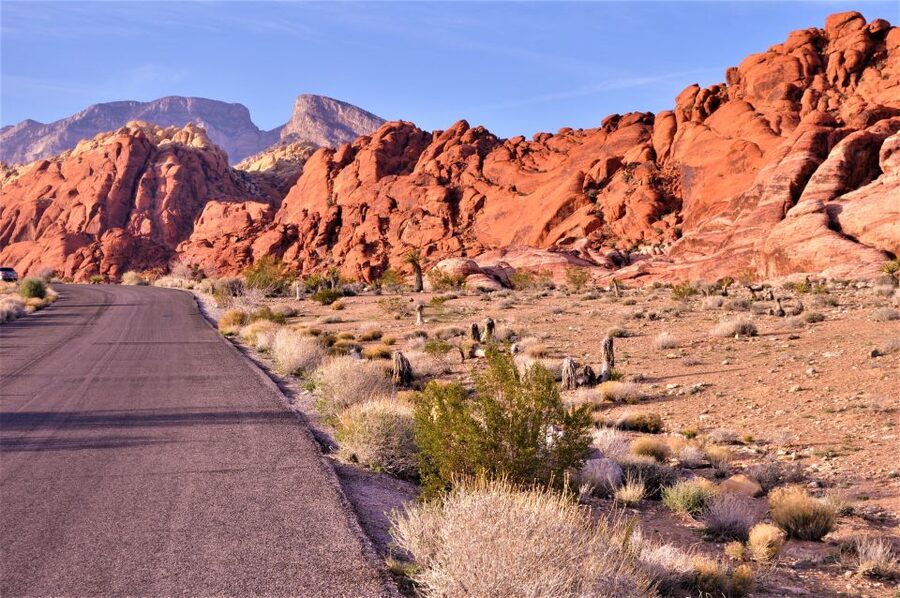 From Las Vegas: Red Rock Canyon Electric Bike Hire - Booking Advice for a Smoother Ride