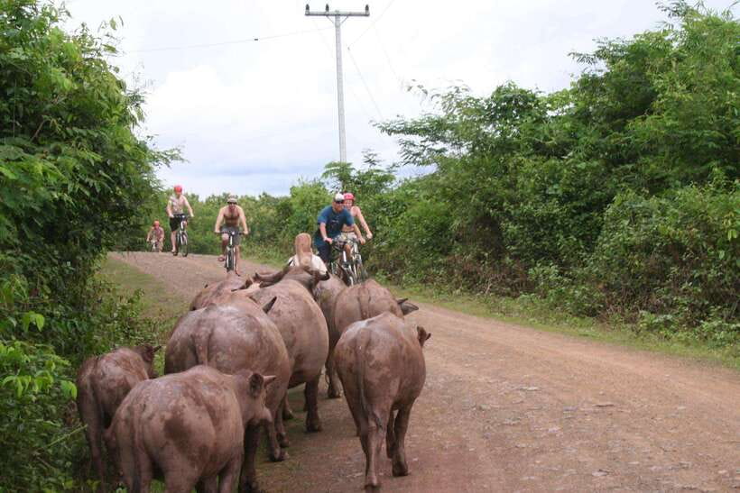 From Luang Prabang: Guided Mountain Bike Tour with Lunch - The 40-minute ride to Ban Xang Hai