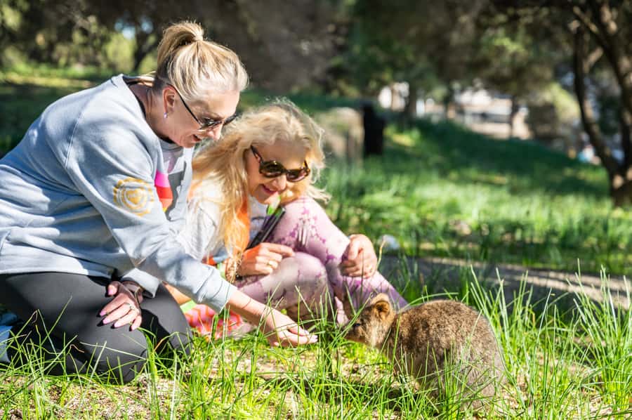 From Perth: Rottnest Island Full-Day Bike and Ferry Trip - Key points to know before you book