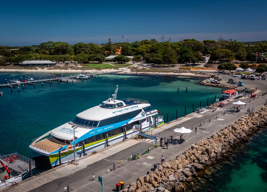 From Perth: Rottnest Island Full-Day Bike and Ferry Trip - Getting your bearings around Thomson Bay
