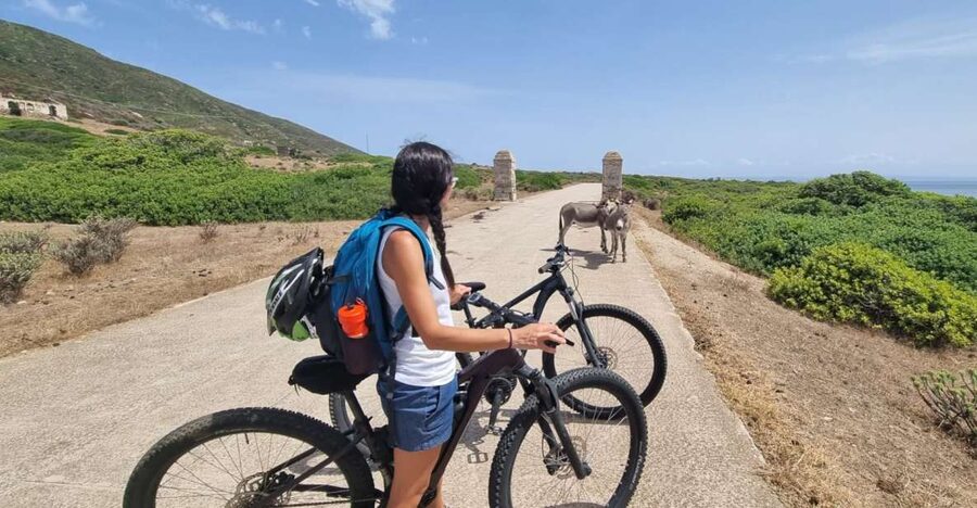 From Porto Torres: E-Bike Rental - Key points at a glance