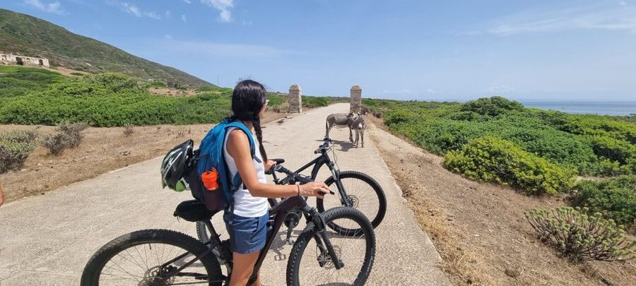 From Porto Torres: E-Bike Rental - Starting at Porto Torres beside the ferry