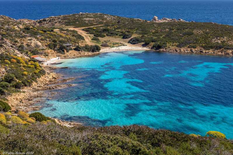 From Porto Torres: electric bicycle rental - Choosing the Right Bike Size