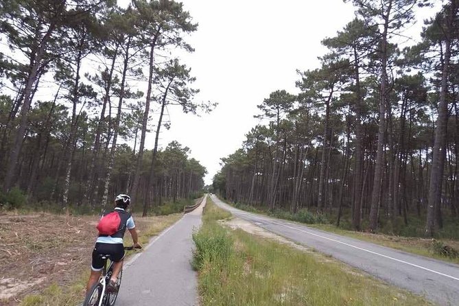 From Porto with view to Gaia: Private Bike Tour #DuckSideOfPorto - Who will enjoy this tour most
