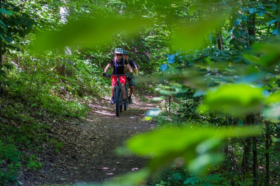 From Prague: E-Mountain Biking Trip to the Bohemian Paradise - The guide and small-group difference