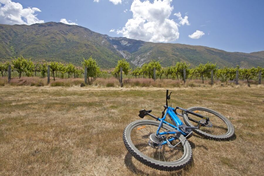 From Queenstown: 'Valley of the Vines' Wine and Bike Tour - Mount Rosa, Kinross, and the Gibbston wineries
