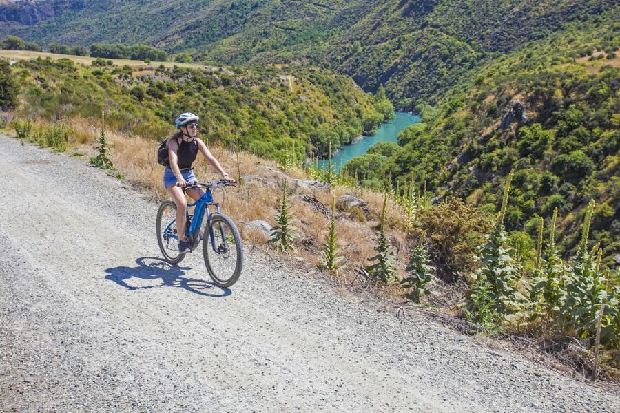 From Queenstown: 'Valley of the Vines' Wine and Bike Tour - From Queenstown to historic Arrowtown