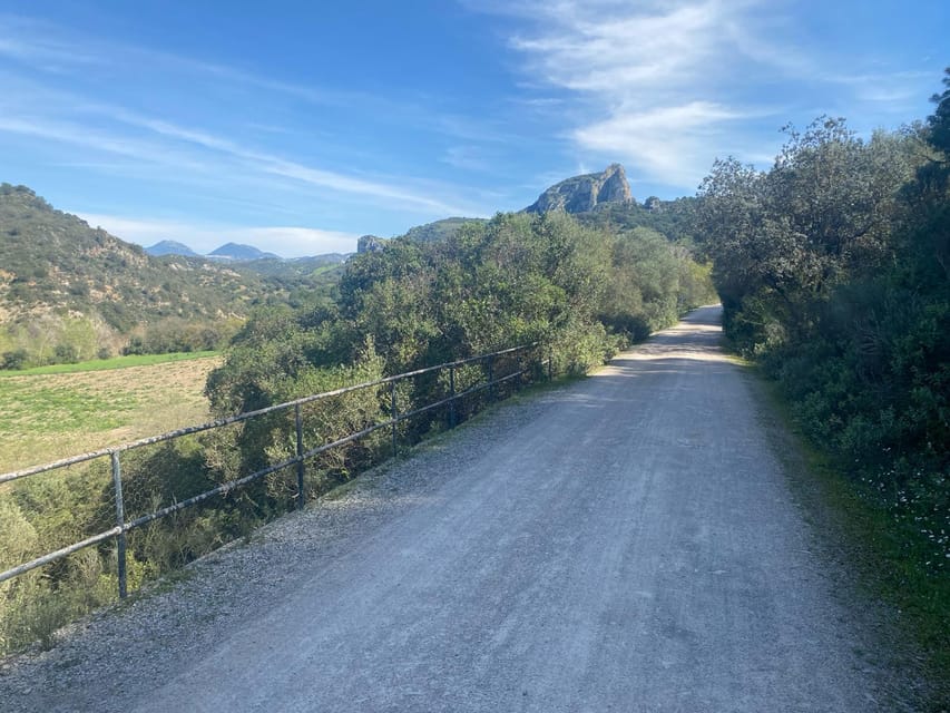 From Ronda: Via Verde de la Sierra Easy Cycling Tour - Who will enjoy this ride most?